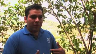 Mision Y Vision De Huertos Familiares