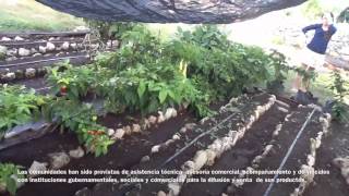 Manual De Huertos Familiares Organicos