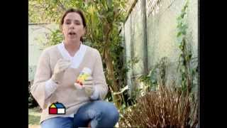 Arboles Frutales Informacion