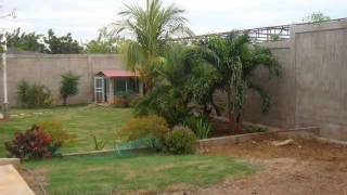 Plantas Ornamentales Del Zulia