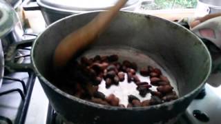 Semillas De Arboles Frutales Exoticos