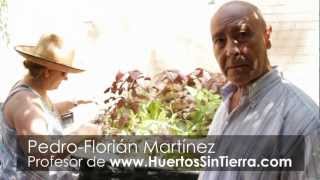Plantas Curativas Balaguer