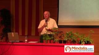 Plantas Curativas Balaguer