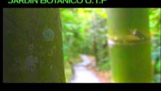 Diseño De Jardines Horticolas