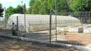Importancia De Un Vivero De Plantas Ornamentales