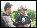 Poda De Arboles Frutales Fechas
