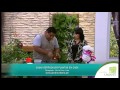 Introduccion De Trabajo De Plantas Ornamentales