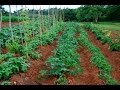 Huertos Familiares Agroecologicos