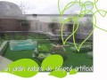 Diseño De Jardines Zaragoza