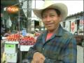Huertos Familiares A Nivel Mundial