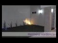 Diseño De Jardines Leon Guanajuato
