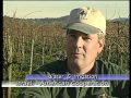 Sistemas De Riego Israeli