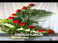 Arreglos Florales Con Orquideas 2010