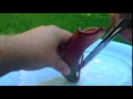 Plantas Carnivoras Texto Surpresa