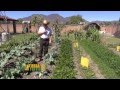 Huertos Familiares En Jalisco