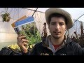 Descargar Libro Plantas Carnivoras