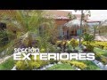 Arbustos Ornamentales De Misiones