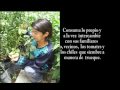 Historia De Los Huertos Familiares En Venezuela