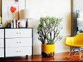 Diseño De Jardines Exteriores Grandes