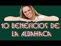 Plantas Curativas Albahaca