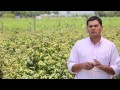 Sistemas De Riego Fotovoltaico