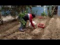 Huertos Familiares Proyecto