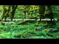 Arboles Frutales Y Su Importancia