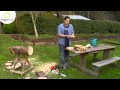 Decoracion De Jardines Con Troncos De Madera