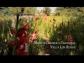 Huertos Familiares Las Rosas