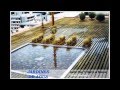 Decoracion De Jardines Con Durmientes De Quebracho