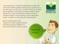 Plantas Curativas Boldo
