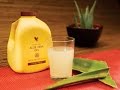 Plantas Curativas Aloe Vera