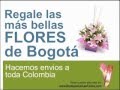 Arreglos Florales Exoticos Domicilio Bogota