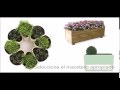 Diseño De Jardines Ideas En La Plantación De Un Jardín