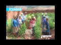 Huertos Familiares A Nivel Mundial