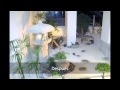 Decoracion De Jardines Heredia