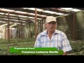 Produccion De Plantas Ornamentales En Costa Rica