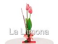Arreglos Florales Con Tulipanes Artificiales