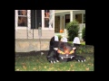 Decoracion De Jardines Para Halloween