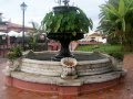 Diseño De Jardines Tenerife