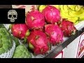 Arboles Frutales Silvestres