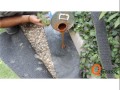 Plantas Ornamentales Sinteticas