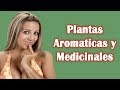 Plantas Curativas Comunes