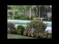 Venta Arboles Frutales Argentina