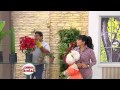 Buscar Informacion Sobre Plantas Ornamentales