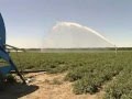 Sistemas De Riego Agricola En Guatemala