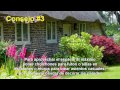 Arbustos Ornamentales Para Jardines