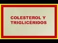 Plantas Curativas Para Bajar El Colesterol