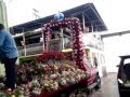 Arreglos Florales Zapopan