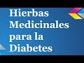 Plantas Curativas Para La Diabetes